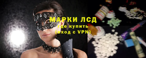 PSILOCYBIN Инсар