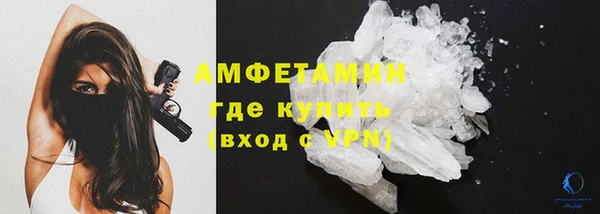 прущие грибы Инта