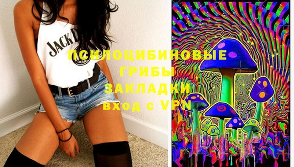 mdma Каменногорск